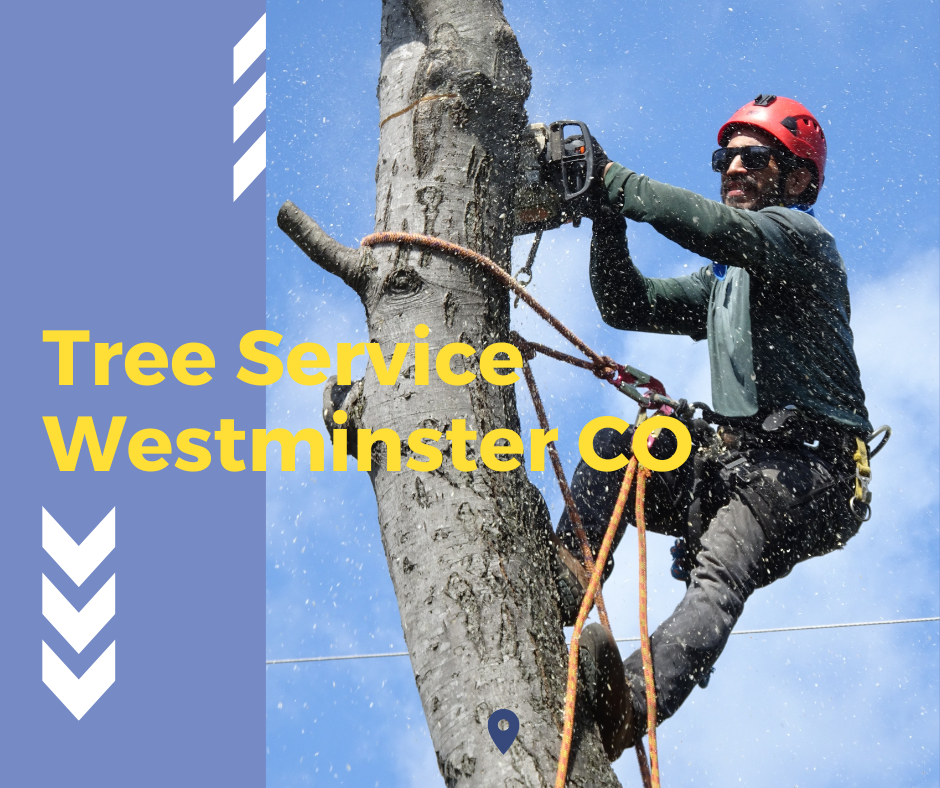 Tree Service Westminster CO Logo