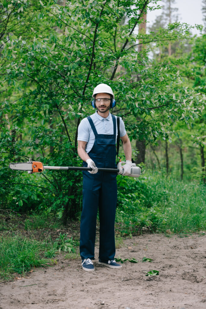 tree service westminster co